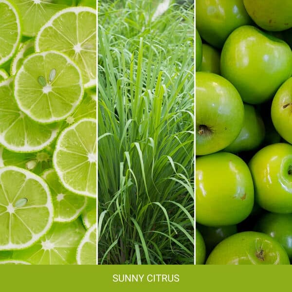 Świece YANKEE CANDLE - Sunny Citrus image 1