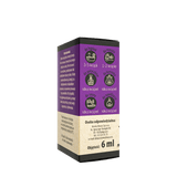 Naturalny olejek eteryczny - PACZULI image 3